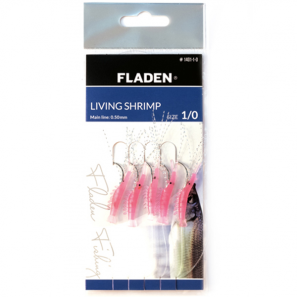 LIVING SHRIMP