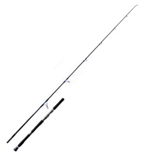 BIXOD P4 VER2