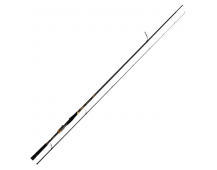 Спиннинг Daiwa 21 Morethan Branzino EX AGS 1010ML/M